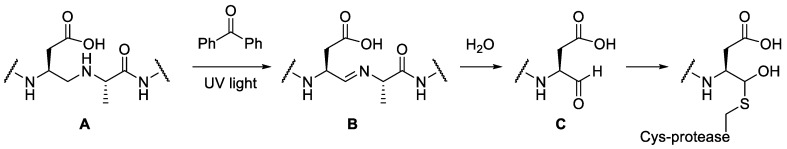 Scheme 3