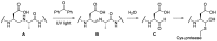 Scheme 3