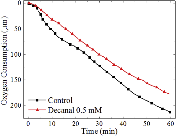 Fig. 6