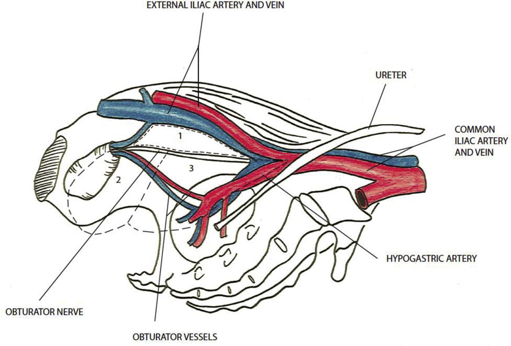 Fig. 1 –