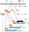 Image, graphical abstract