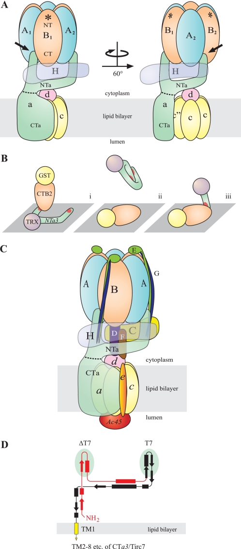 FIGURE 10.