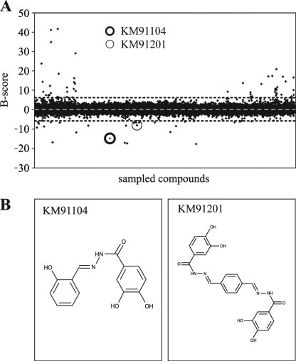 FIGURE 5.