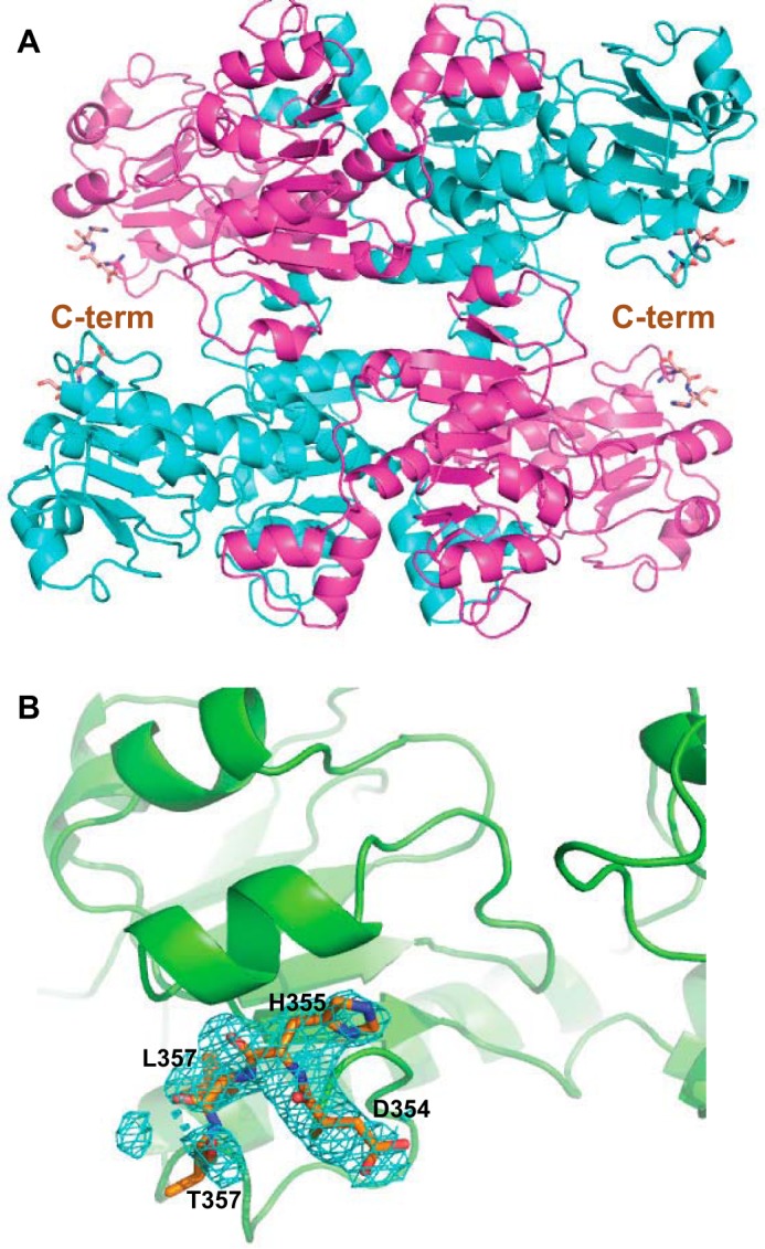 Figure 5.