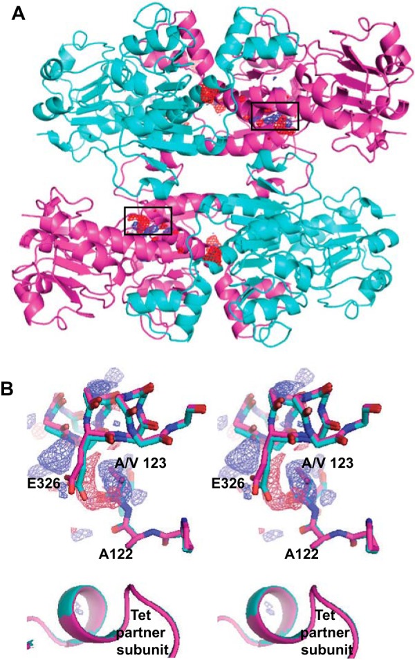 Figure 6.