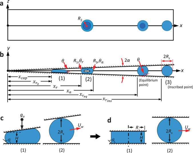 Fig. 8