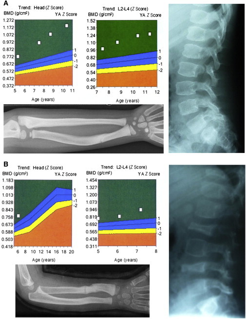 Figure 1