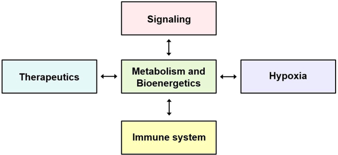 Fig. 13