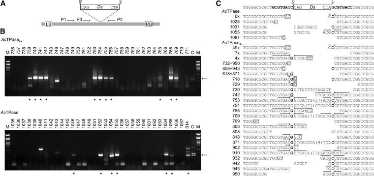 Figure 6 