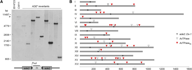 Figure 4 