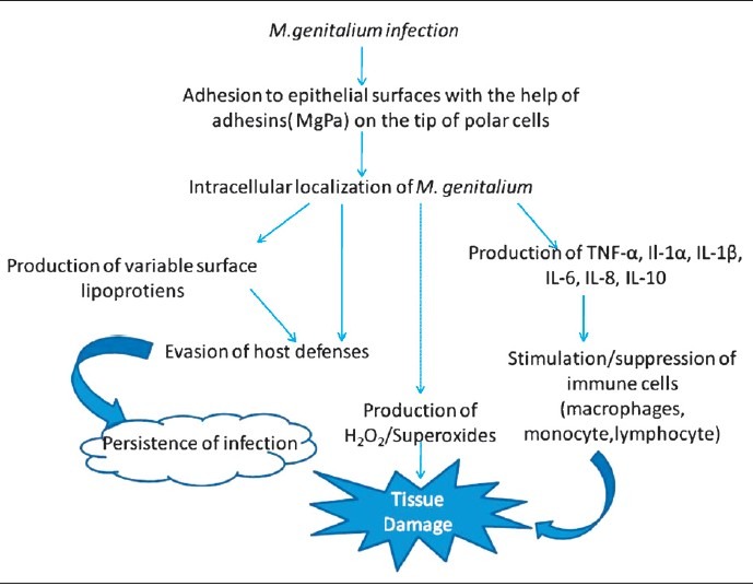 Fig.