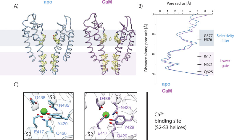 Figure 5—figure supplement 5.