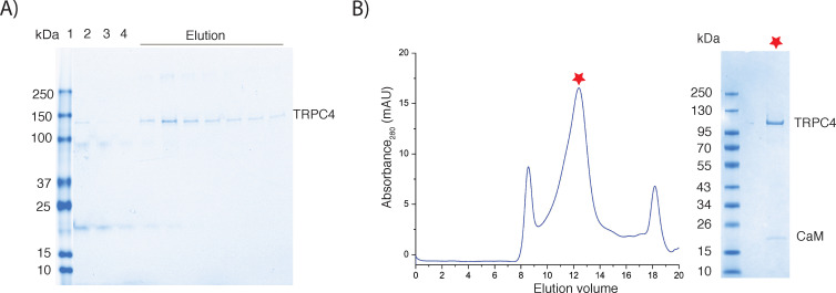 Figure 5—figure supplement 1.