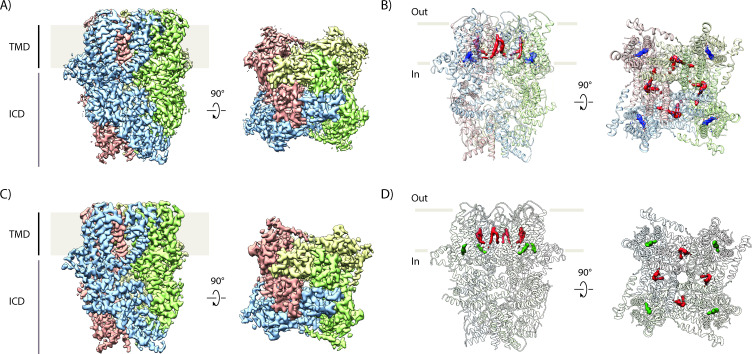 Figure 2—figure supplement 2.