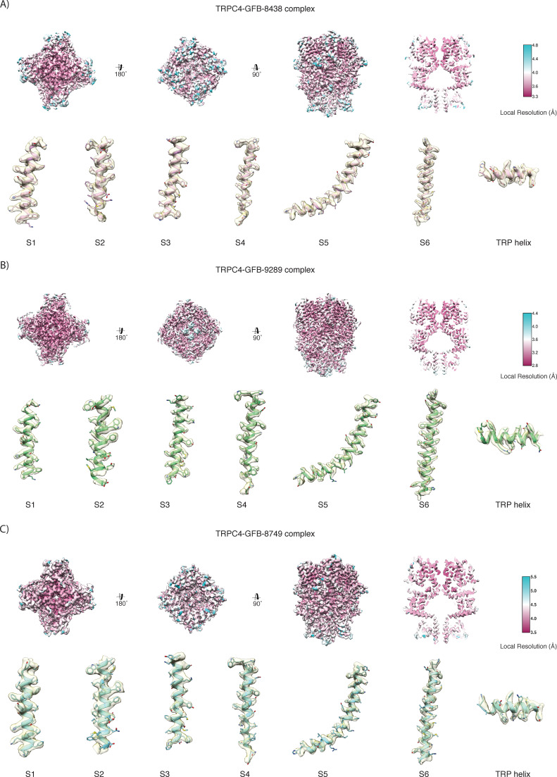 Figure 2—figure supplement 3.