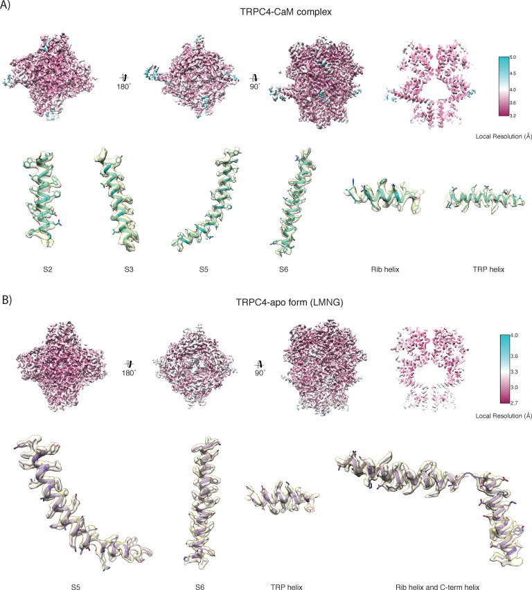 Figure 5—figure supplement 3.