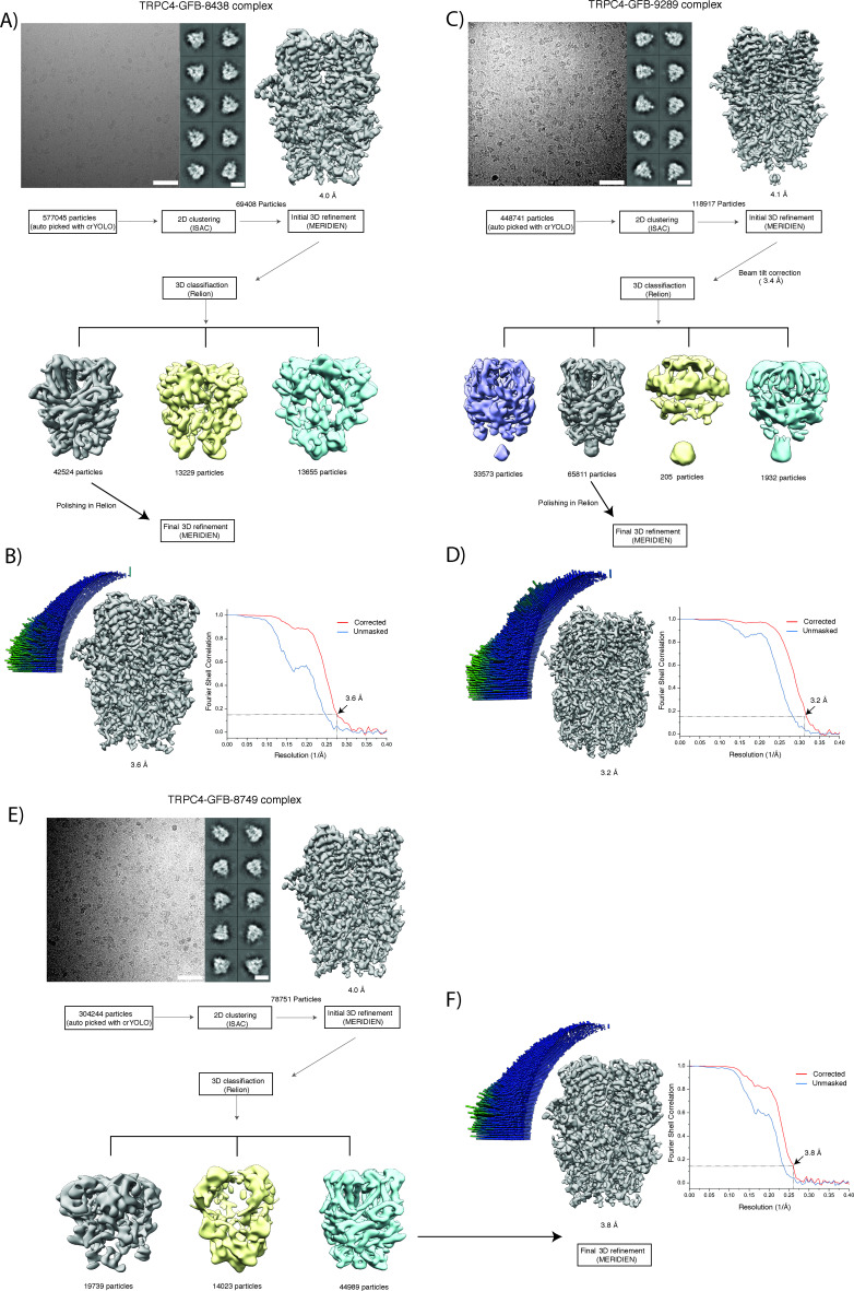 Figure 2—figure supplement 1.