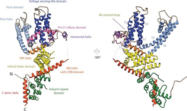 Figure 2—figure supplement 5.