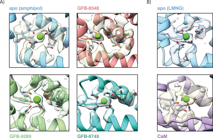 Figure 4—figure supplement 2.