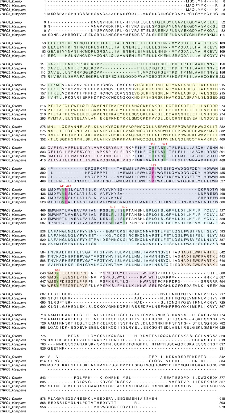 Figure 3—figure supplement 1.