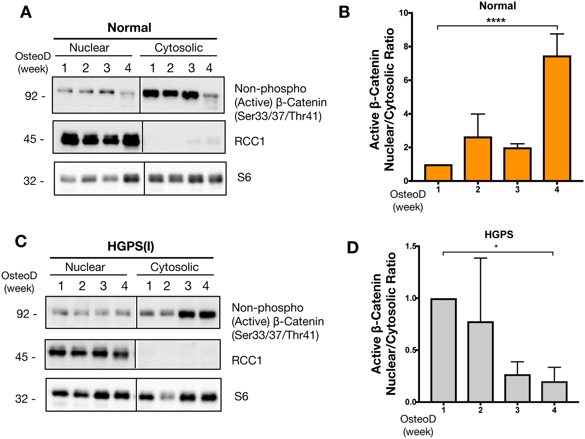 Figure 4: