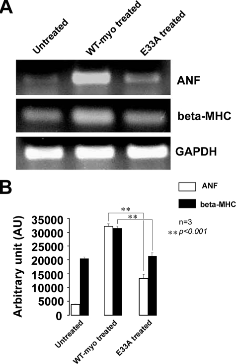 FIGURE 11.