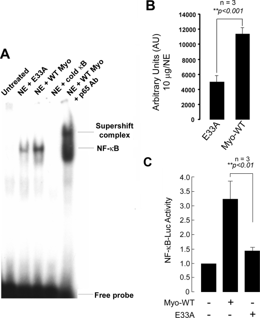 FIGURE 9.