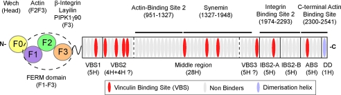 FIGURE 1.