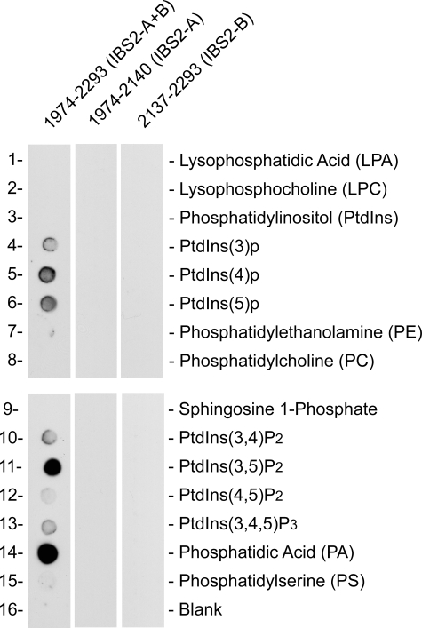 FIGURE 6.