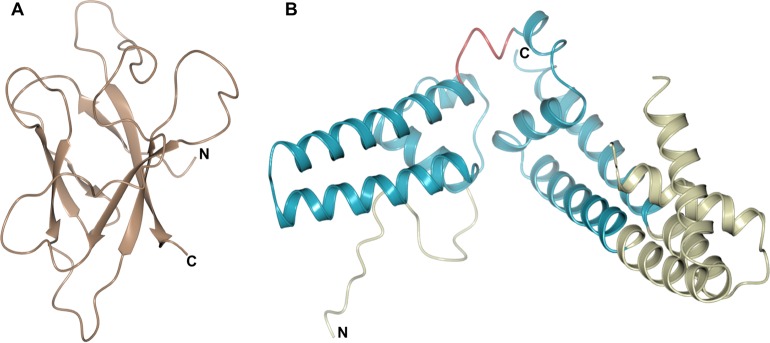 FIG 6