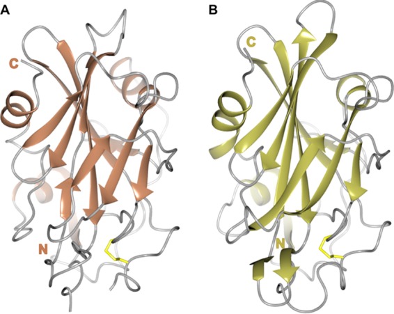 FIG 3