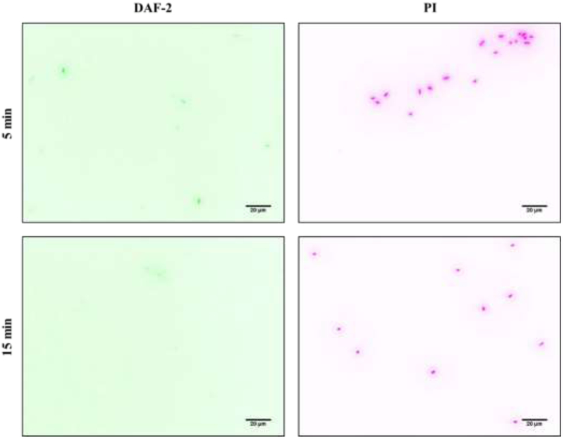 Figure 5.