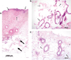Fig. 8