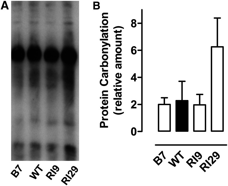 Figure 10.