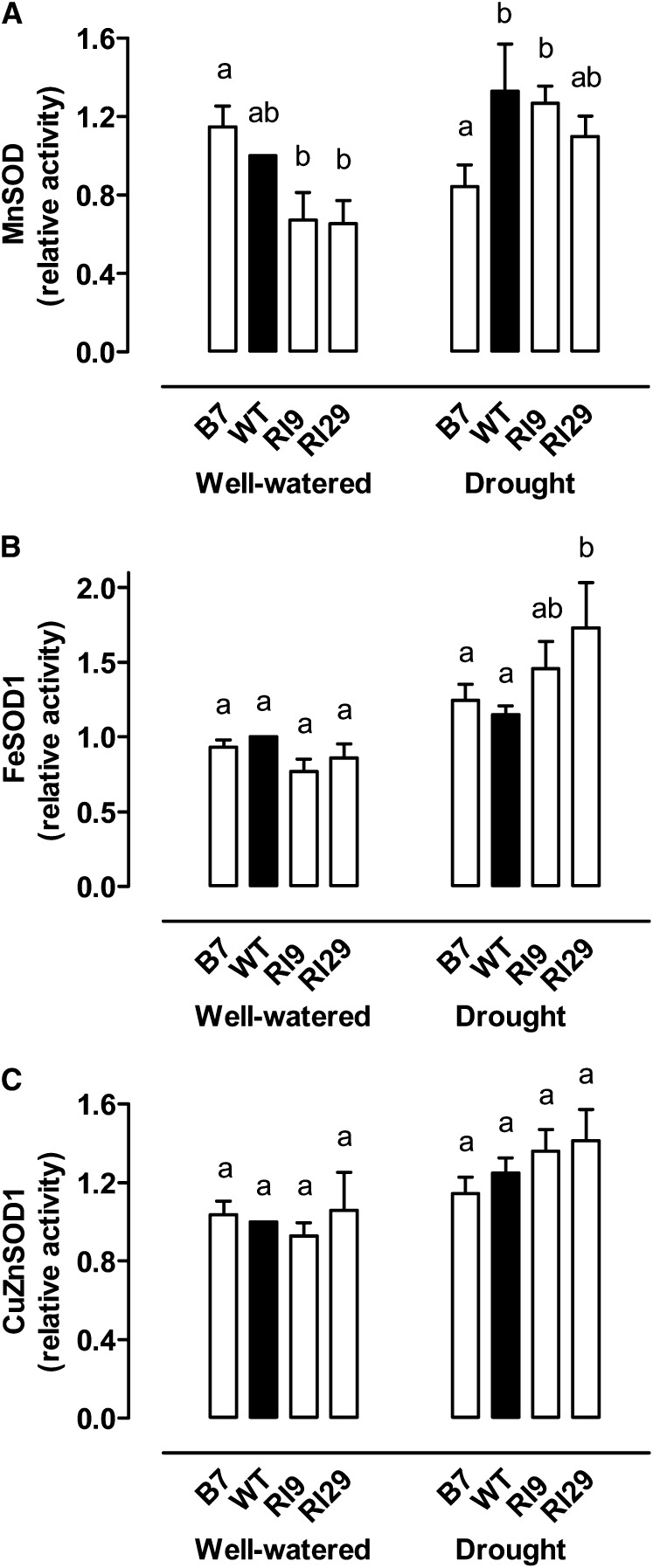 Figure 9.