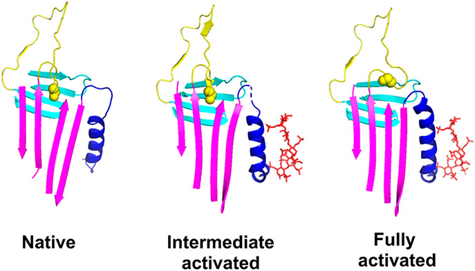 Figure 1.