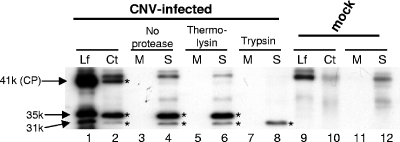 FIG. 8.