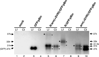 FIG. 3.