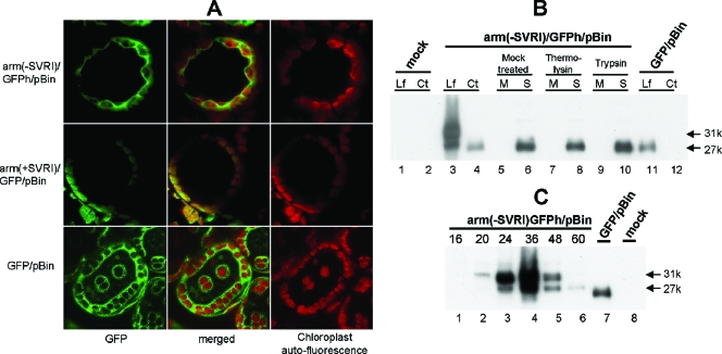 FIG. 6.