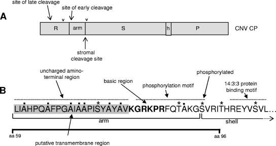 FIG. 10.