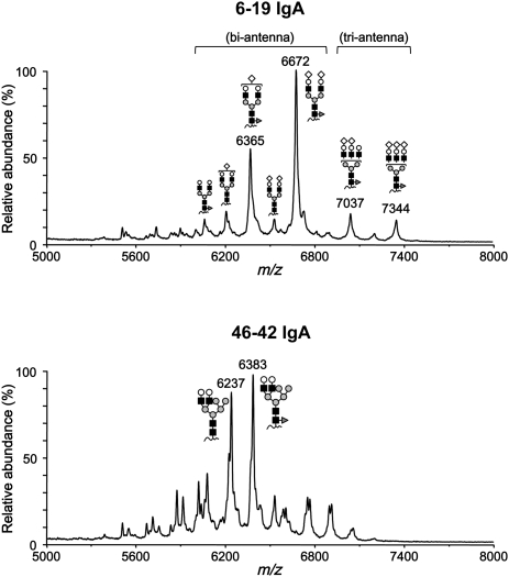 Figure 6.