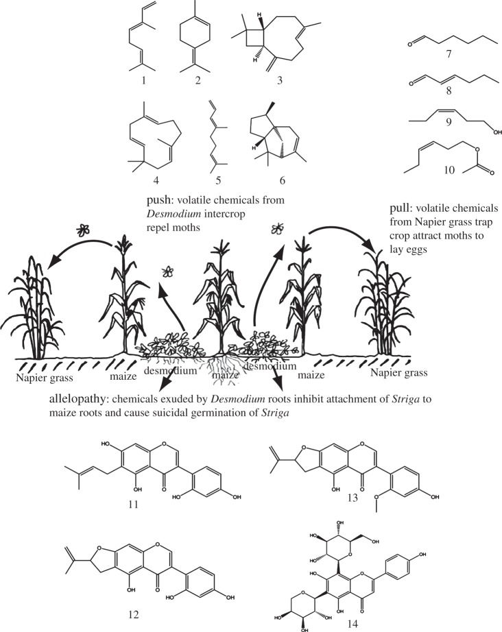 Figure 1.