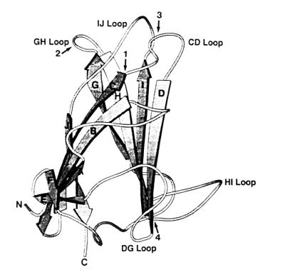 FIG. 5