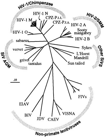 FIG. 1