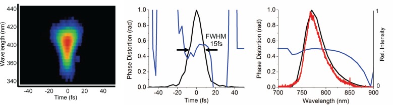 Fig. 2