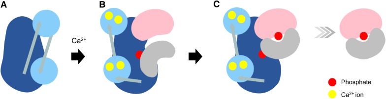 Figure 9.