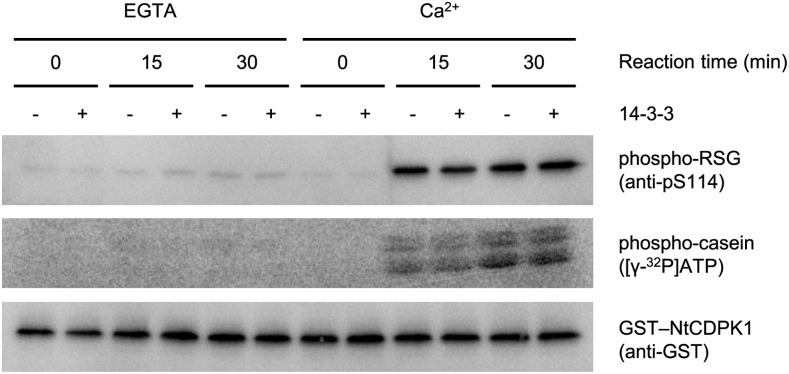 Figure 5.