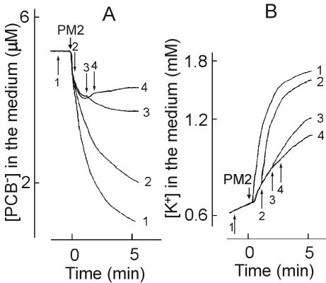 FIG. 6.