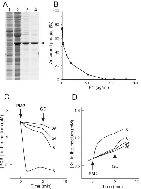 FIG. 5.