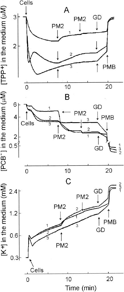 FIG. 3.